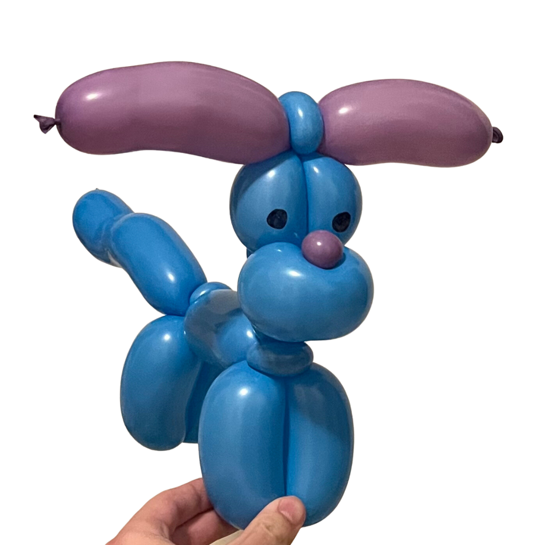 balloon dog